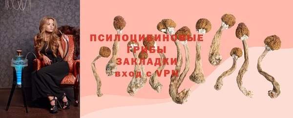 дмт Армянск